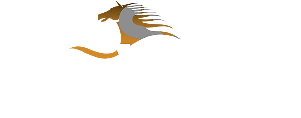 Belhasa Stones & Concrete Flooring L.L.C.