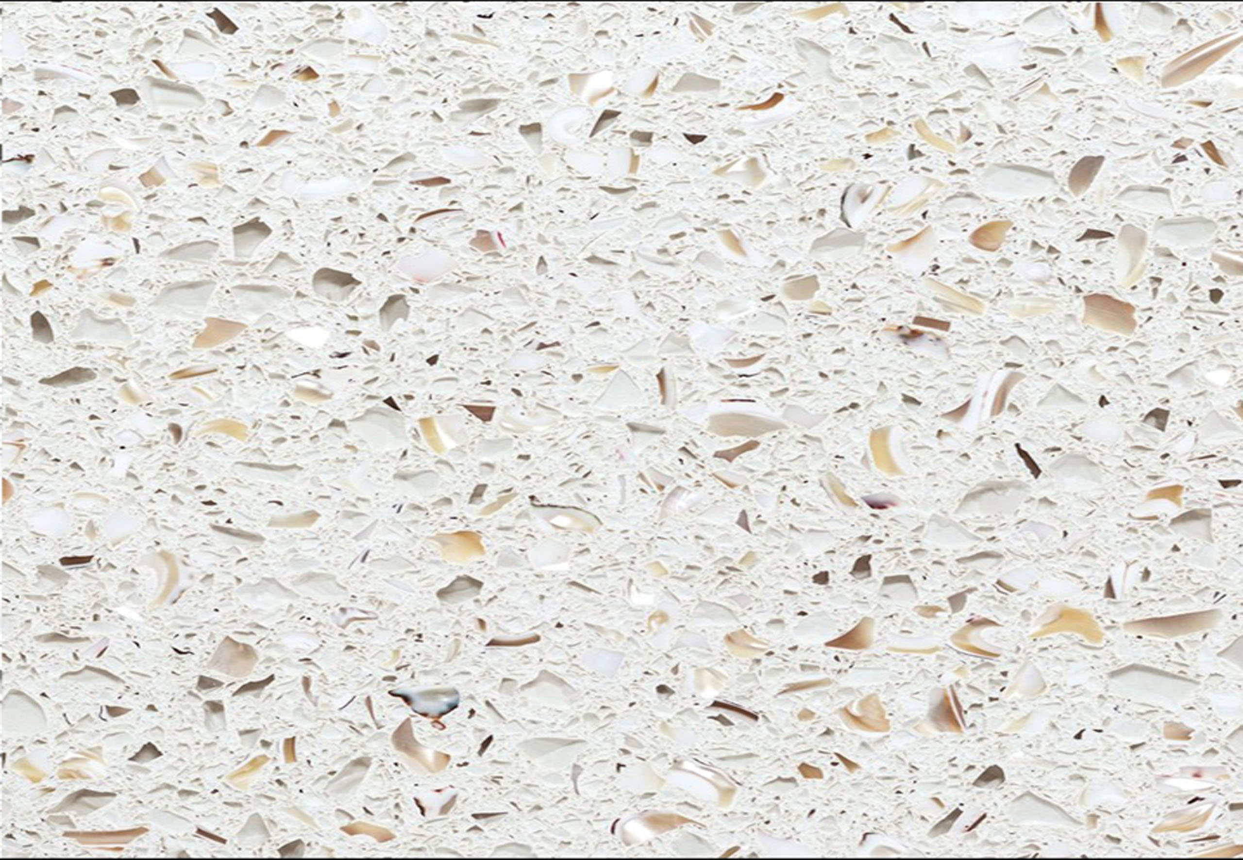 Exposed Glass 7