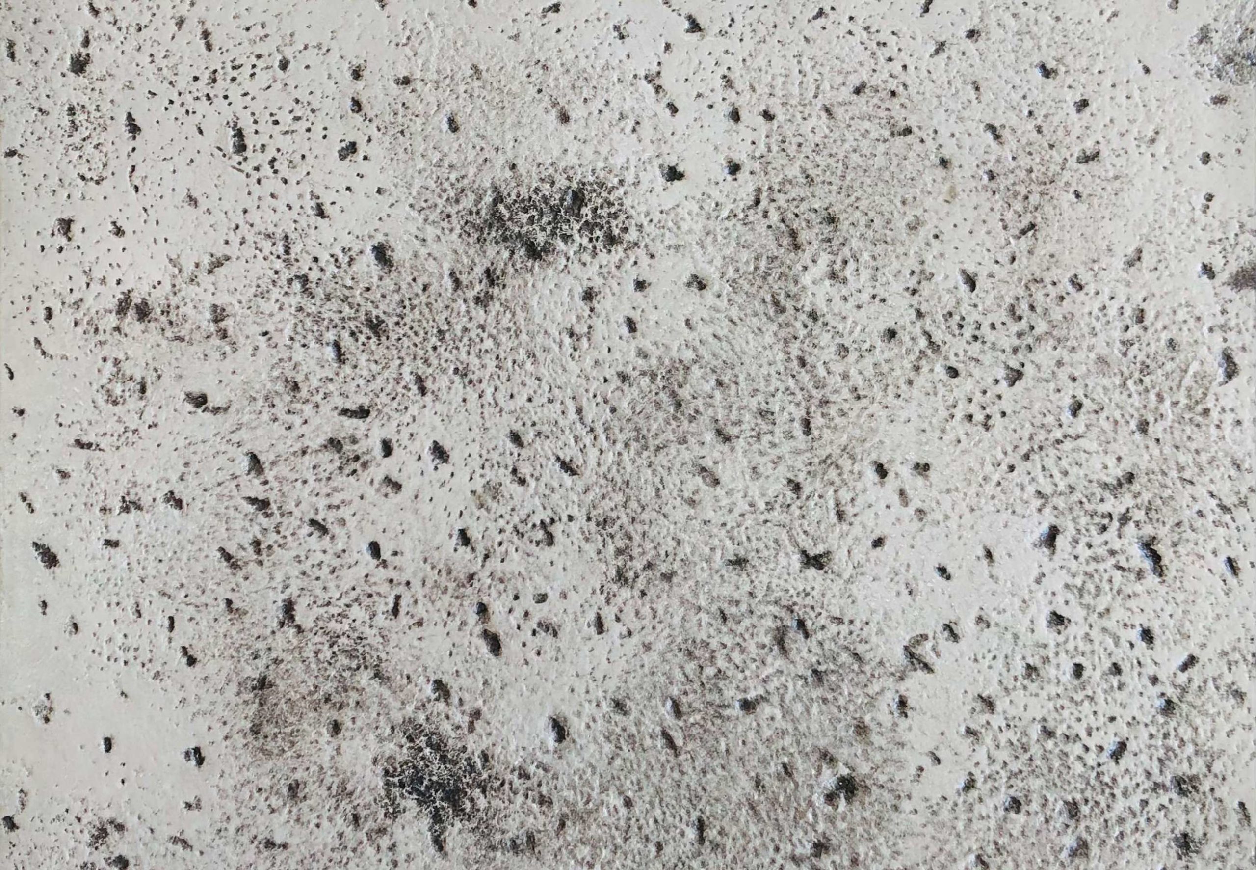 Stamped Concrete 4