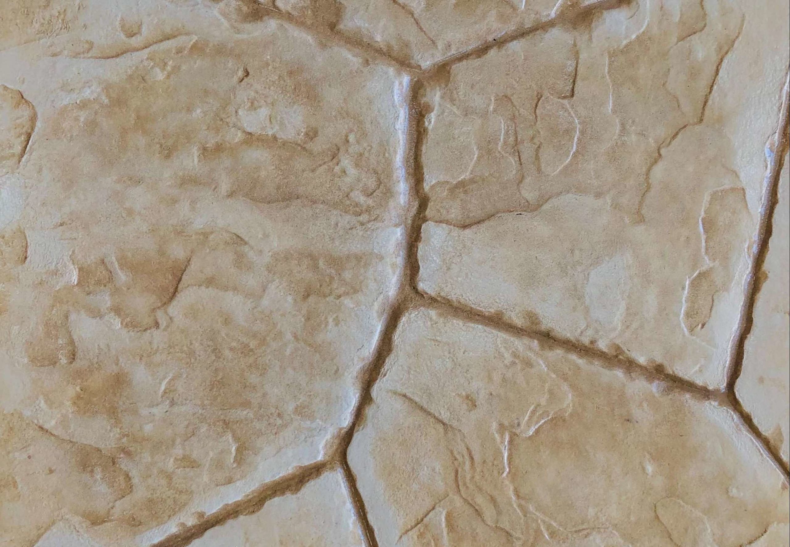 Stamped Concrete 7