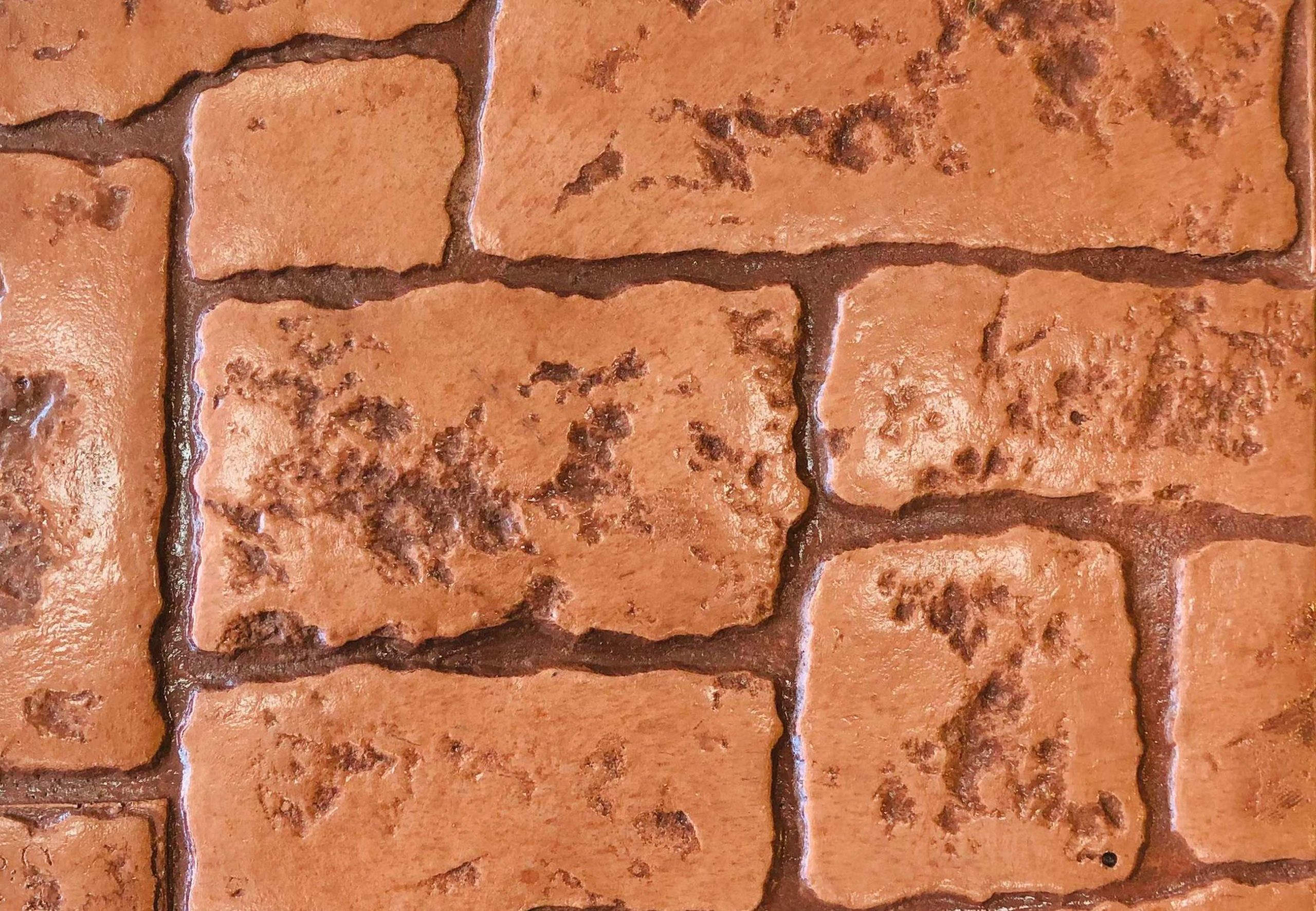 Stamped Concrete 11