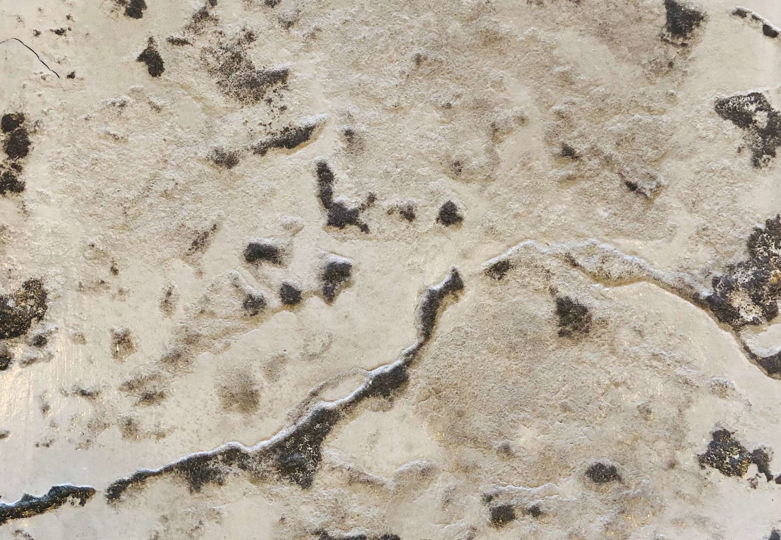 Stamped Concrete 12