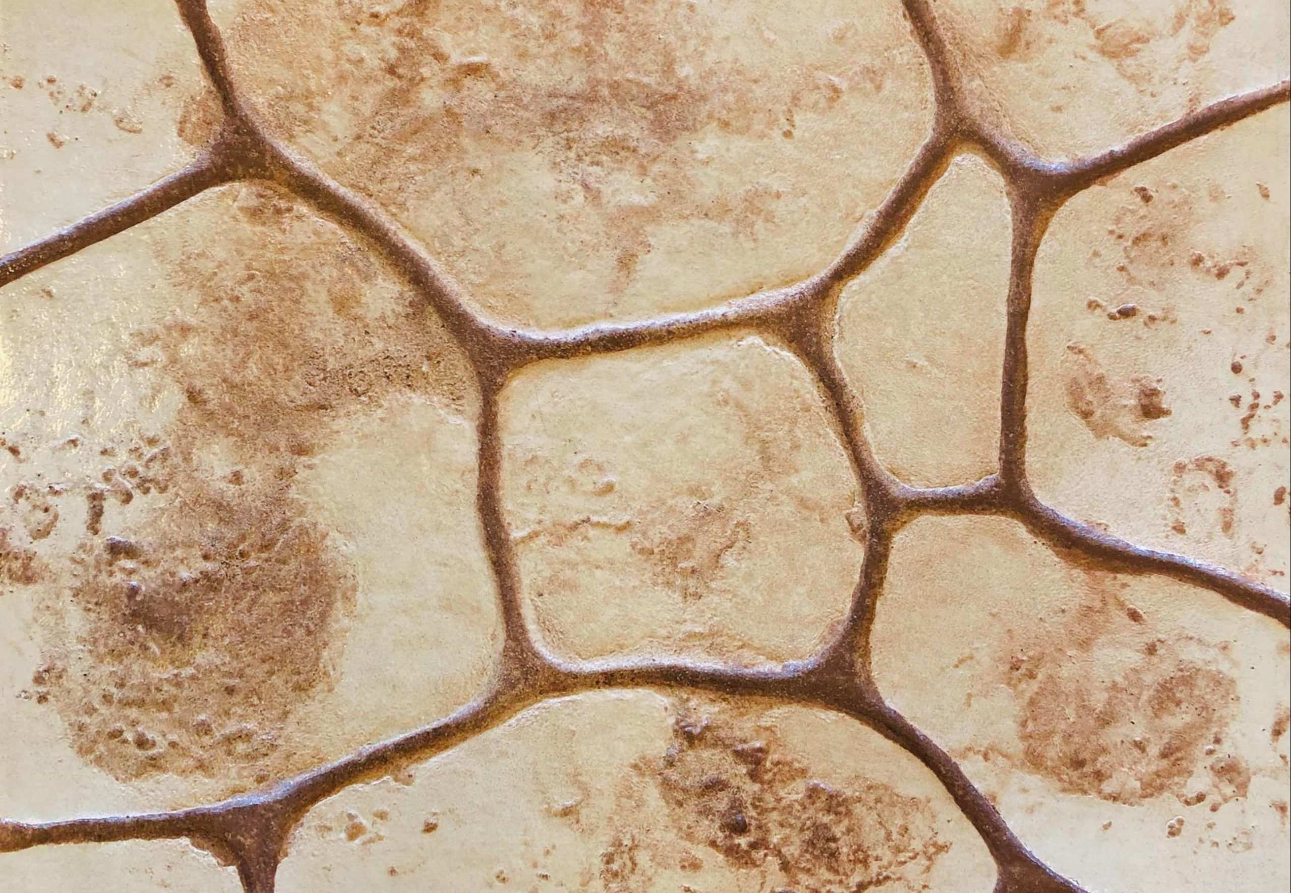 Stamped Concrete 13