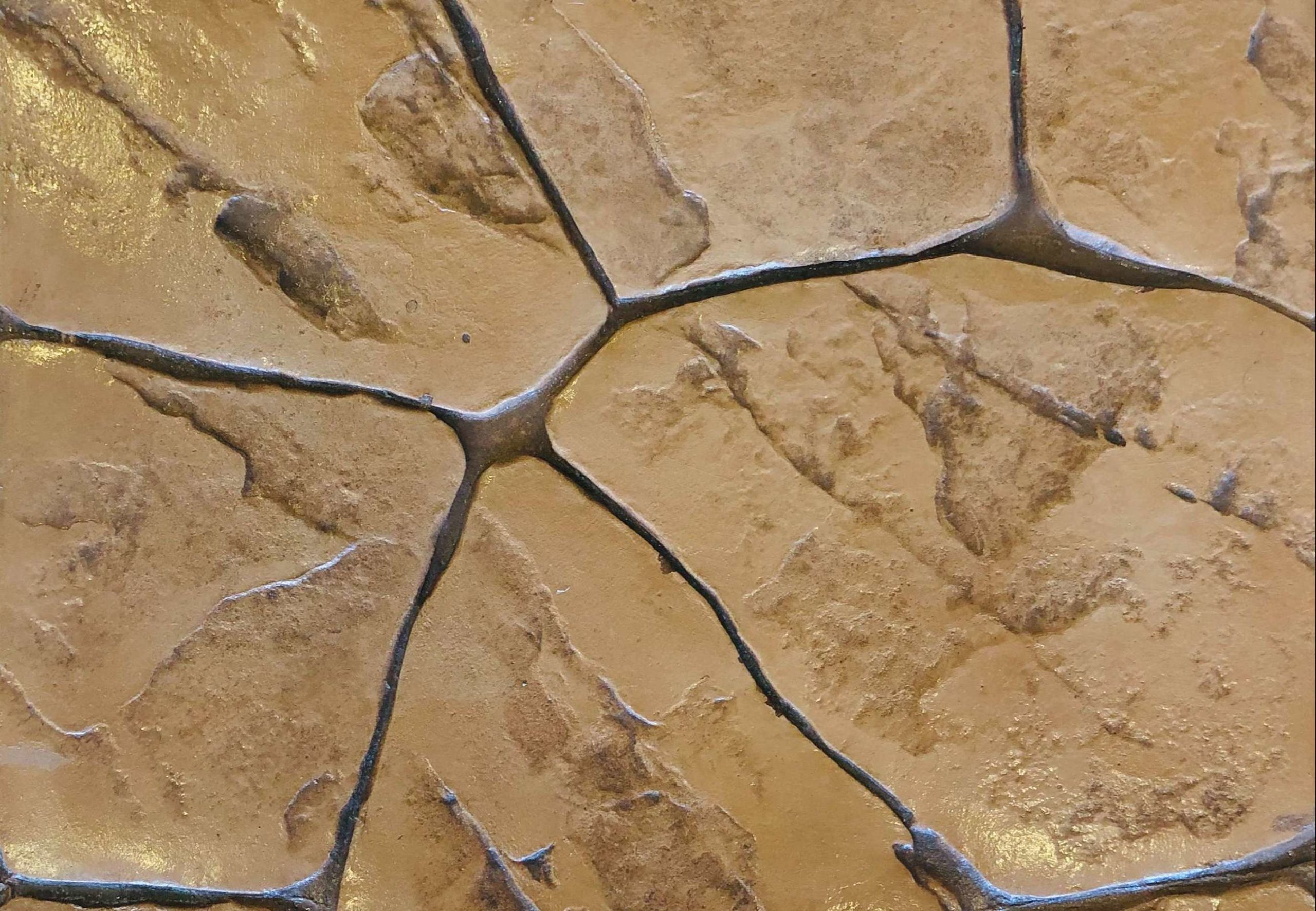 Stamped Concrete 14