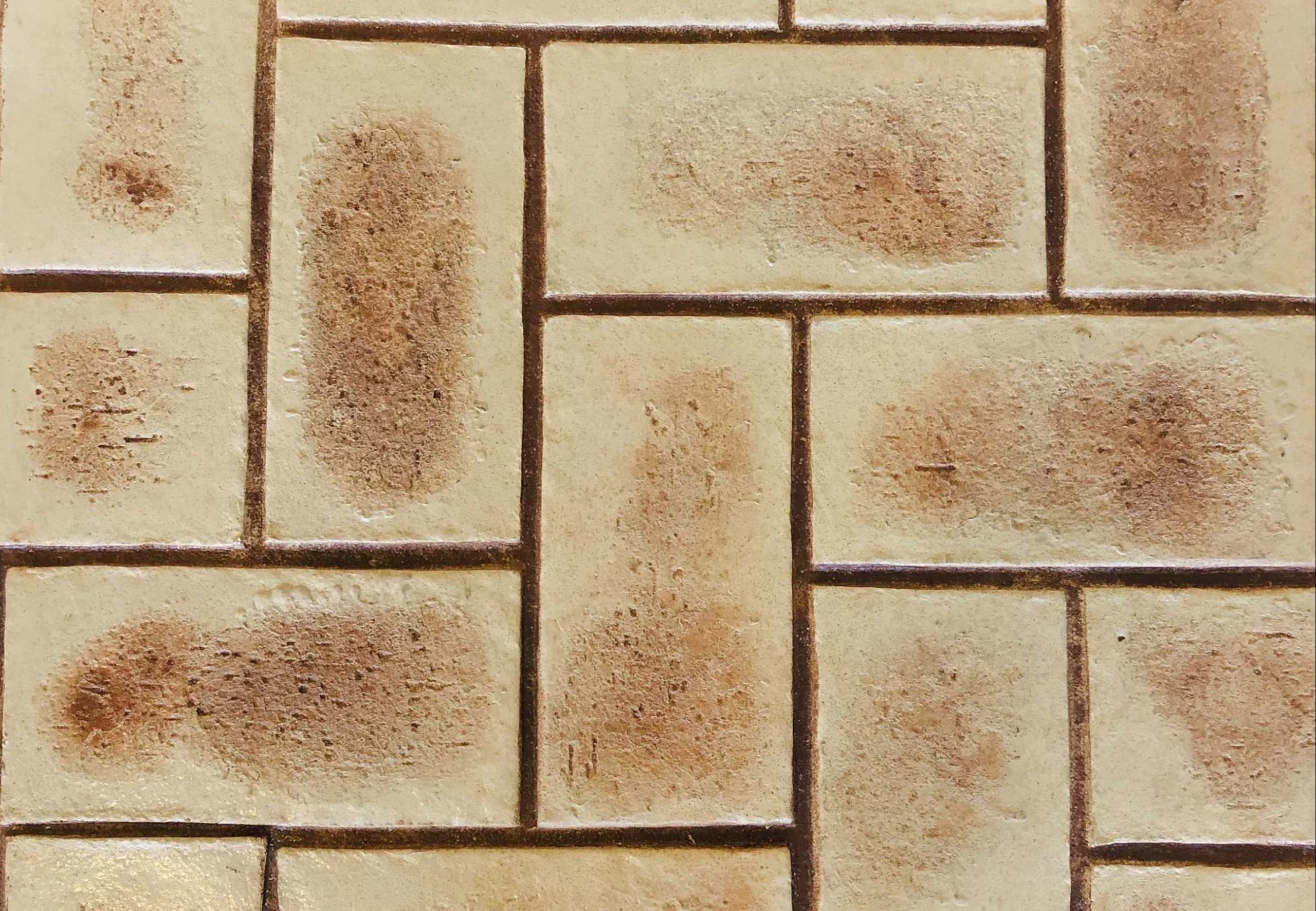 Stamped Concrete 30