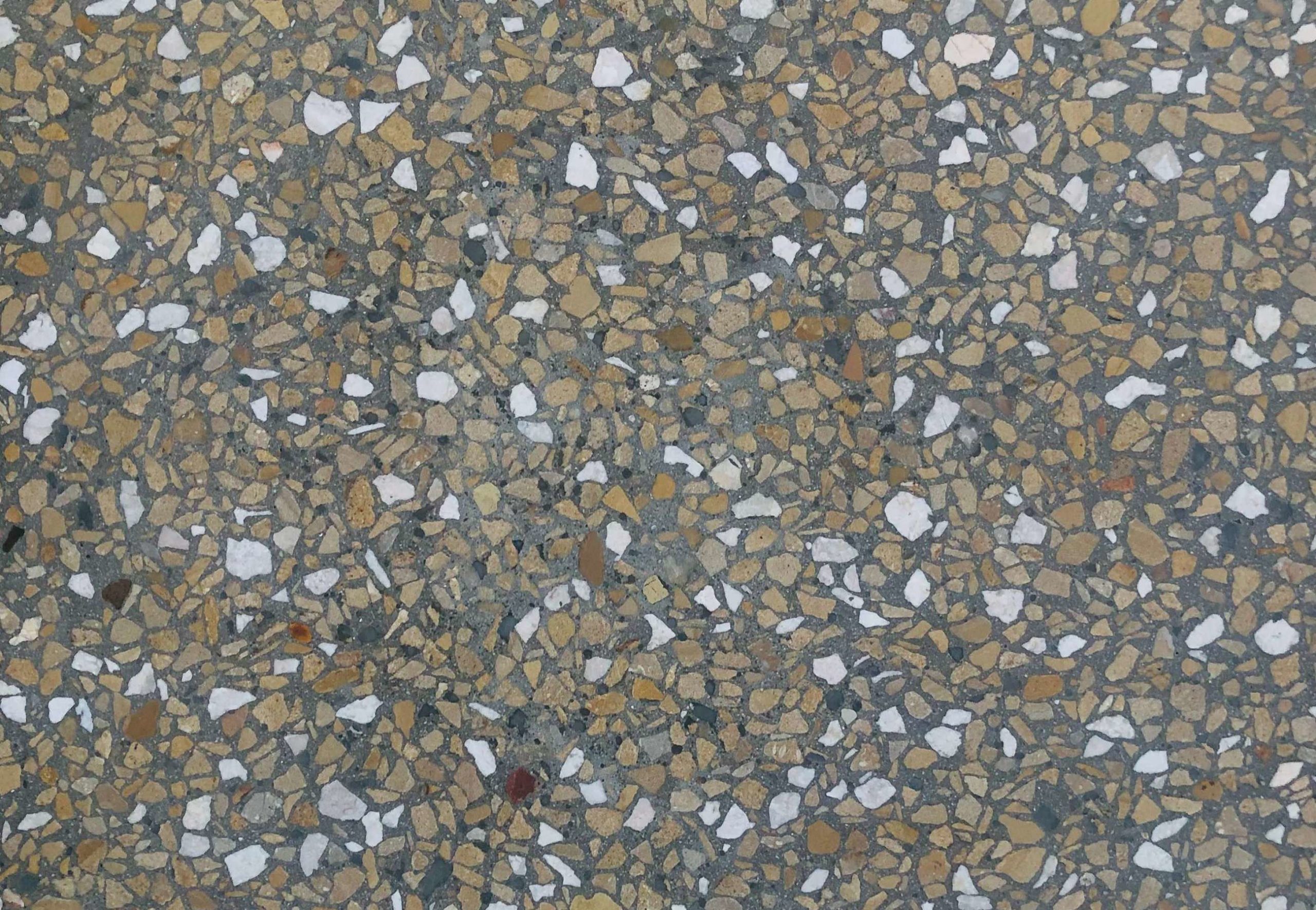 Polished Concrete 5